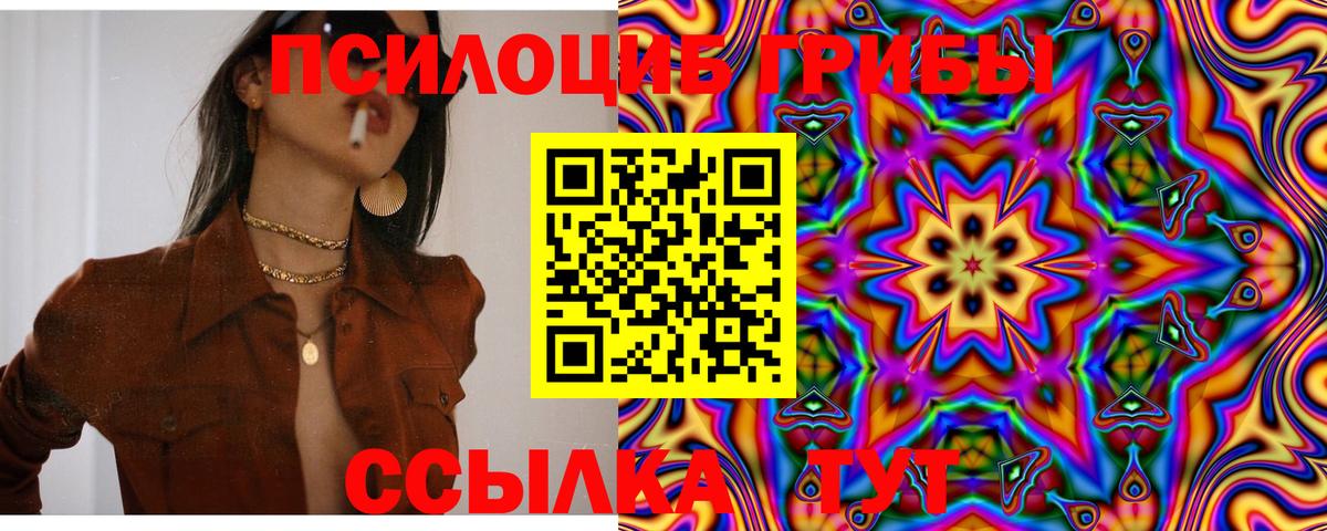 Псилоцибиновые грибы Cubensis Чехов