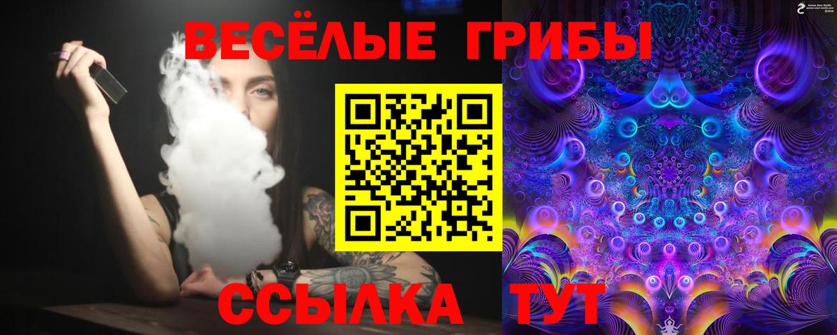 цены наркотик  Вход с VPN  Псилоцибиновые грибы прущие грибы  Чехов  Псилоцибиновые грибы Cubensis 
