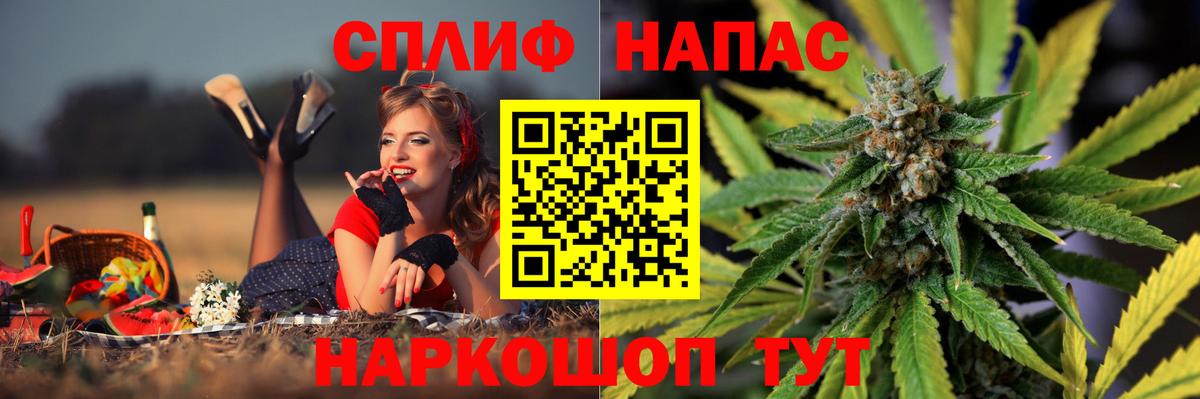 Бошки Шишки гибрид Чехов